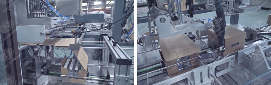 全自動一片式裝箱機-5